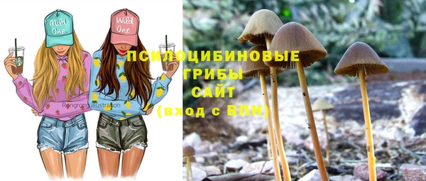 крисы Вязники