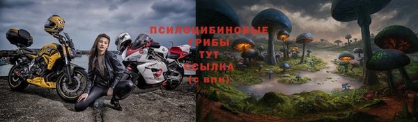 PSILOCYBIN Горняк